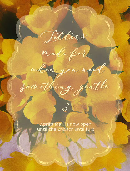 The Illustrated Kitchen Mail Club #3 APRIL 2026