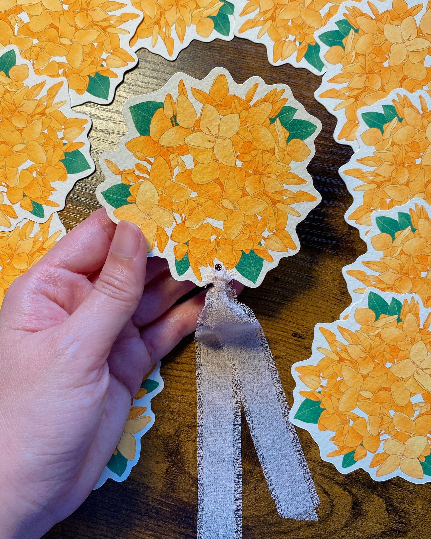 The Illustrated Kitchen Mail Club #5 JUNE 2026